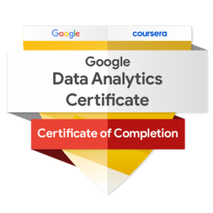 Insignia Google Data Analytics